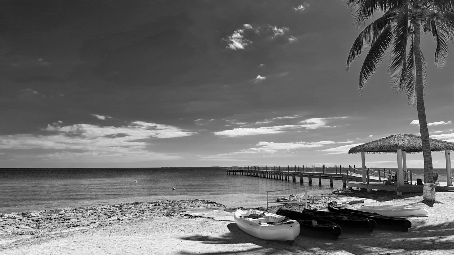 Tropical Calm - Grand Cayman