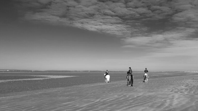 Morning Ride - West Wittering